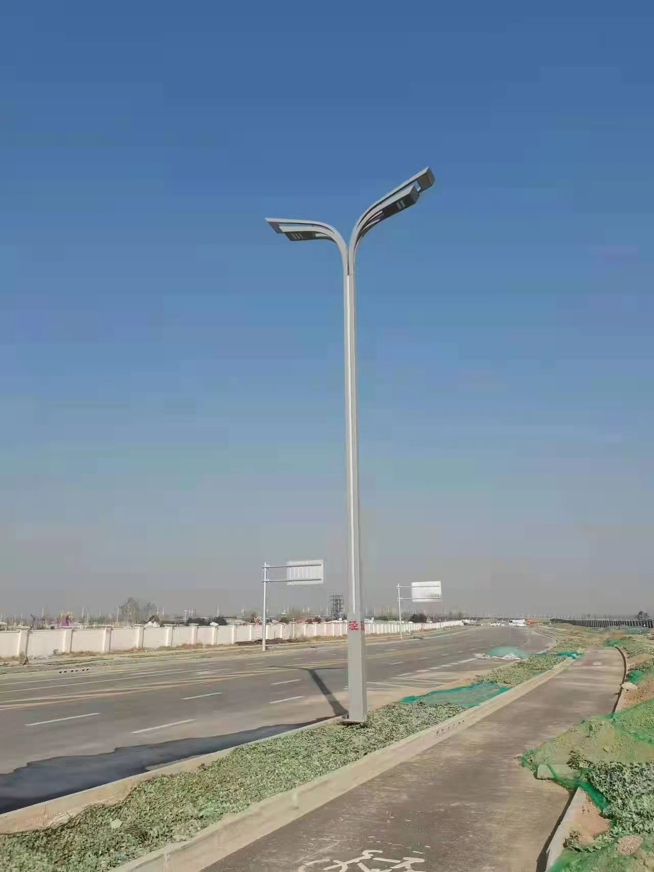 景观双臂灯
